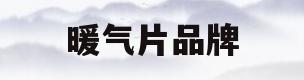 暖气片品牌(十大暖气片品牌)