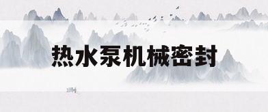 热水泵机械密封(热水泵机械密封24) 热水泵机械密封(热水泵机械密封24)