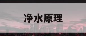净水原理(k2feo4净水原理)