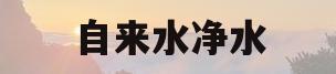 自来水净水(自来水净水流程)