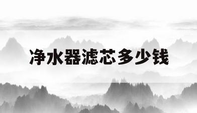 净水器滤芯多少钱(更换净水器滤芯多少钱)