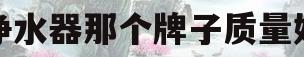 净水器那个牌子质量好(净水器那个牌子质量好些)