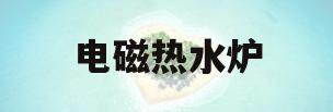 电磁热水炉(电磁热水炉什么牌子质量好耐用)