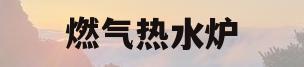 燃气热水炉(冷凝燃气热水炉)
