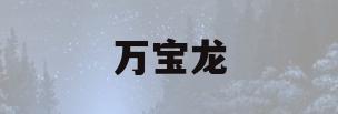 万宝龙(万宝龙官网旗舰店)
