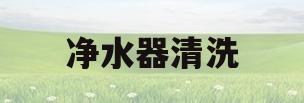 净水器清洗(净水器清洗方法)