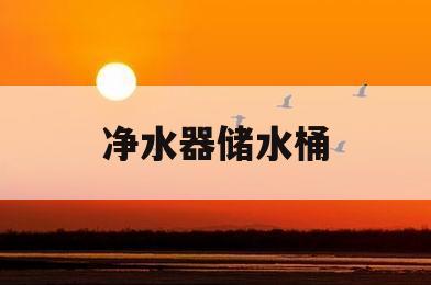 净水器储水桶(净水器储水桶漏水怎么办)