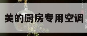 美的厨房专用空调(美的厨房专用空调和日立厨房专用空调那个好?)
