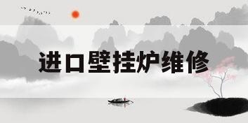 进口壁挂炉维修(壁挂炉维修售后维修)