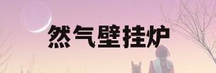 然气壁挂炉(然气壁挂炉出现E1是怎么回事)