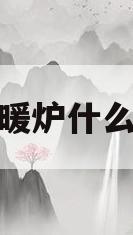 燃气取暖炉什么品牌好(燃气取暖炉什么品牌好用又实惠)