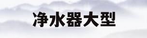 净水器大型(净水器大型排名)