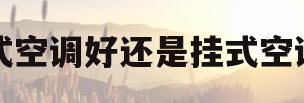 立式空调好还是挂式空调好(立式空调效果好还是挂式空调效果好)