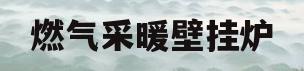 燃气采暖壁挂炉(燃气采暖壁挂炉十大排名品牌)