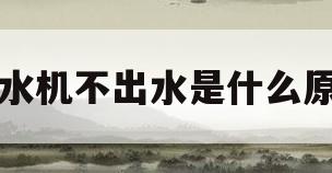 饮水机不出水是什么原因(饮水机不出水是什么原因视频)