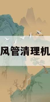 风管清理机(风管机卫生清理)