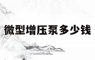 微型增压泵多少钱(微型增压泵多少钱一套)