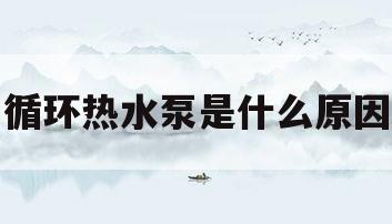 循环热水泵是什么原因(热水循环泵一直工作什么原因)