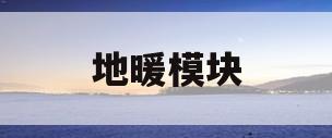 地暖模块(地暖模块多少钱一平米)