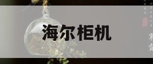 海尔柜机(海尔柜机显示e2是什么原因)