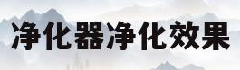 净化器净化效果(净化器净化效果怎么看)