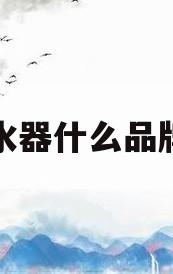 净水器什么品牌好(净水器什么品牌好一些)