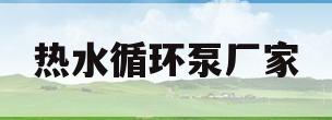 热水循环泵厂家(热水循环泵厂家电话)