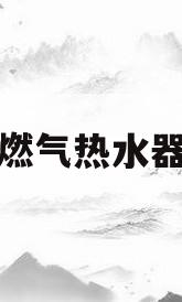 燃气热水器(燃气热水器出现e1是什么故障怎么解决) 燃气热水器(燃气热水器出现e1是什么故障怎么解决)
