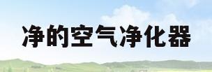 净的空气净化器(净的空气净化器打开为什显示过滤网响)