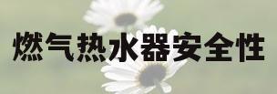 燃气热水器安全性(燃气热水器安全性能好的是哪个品牌)