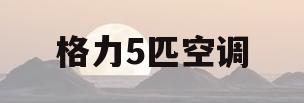 格力5匹空调(格力5匹空调显示e6是什么故障)