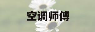 空调师傅(空调师傅在哪个平台接单好)