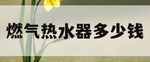 燃气热水器多少钱(装一个燃气热水器多少钱)