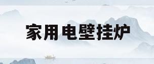 家用电壁挂炉(家用电壁挂炉价格多少)