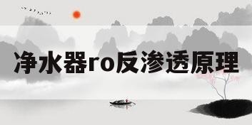 净水器ro反渗透原理(净水器ro和反渗透是什么意思)