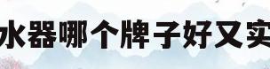 热水器哪个牌子好又实惠(热水器哪个牌子好又实惠的)