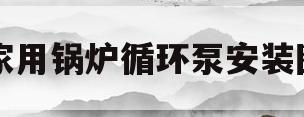 家用锅炉循环泵安装图(家用锅炉循环泵安装图片大全)