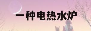 一种电热水炉(全自动电热烧水器)