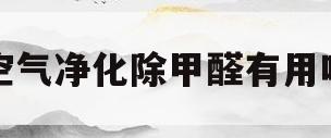 空气净化除甲醛有用吗(空气净化除甲醛有用吗知乎)