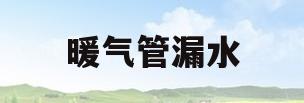 暖气管漏水(暖气管漏水维修电话)