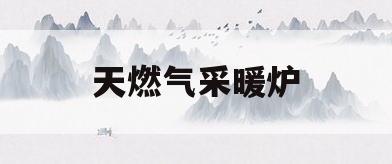 天燃气采暖炉(天燃气采暖炉怎样加水)