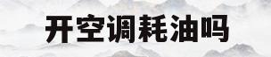 开空调耗油吗(在车内开空调耗油吗)