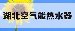 湖北空气能热水器(湖北空气能热水器厂家电话)