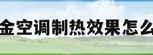 大金空调制热效果怎么样(大金空调制热效果怎么样知乎)