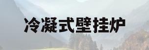 冷凝式壁挂炉(冷凝式壁挂炉和板换式壁挂炉)